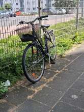 Bild zu gemeldetem Anliegen vom *2025-05-24 12:35:56