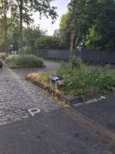 Bild zu gemeldetem Anliegen vom *2025-05-30 21:38:00