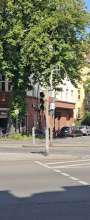 Bild zu gemeldetem Anliegen vom *2025-05-17 15:29:18