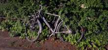 Bild zu gemeldetem Anliegen vom *2025-05-14 22:20:45