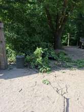 Bild zu gemeldetem Anliegen vom *2025-05-20 17:42:41