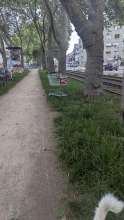 Bild zu gemeldetem Anliegen vom *2025-05-19 18:29:52