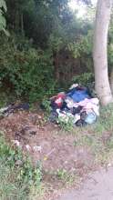 Bild zu gemeldetem Anliegen vom *2025-05-22 13:06:55