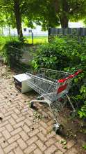 Bild zu gemeldetem Anliegen vom *2025-05-17 09:27:34
