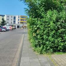 Gehweg halb zugewachsen.