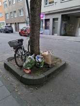 Bild zu gemeldetem Anliegen vom *2025-05-15 21:27:38