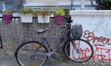 Bild zu gemeldetem Anliegen vom *2025-05-19 12:29:08