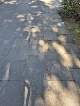 Bild zu gemeldetem Anliegen vom *2025-05-23 09:34:23