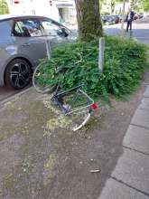 Bild zu gemeldetem Anliegen vom *2025-05-25 15:28:33