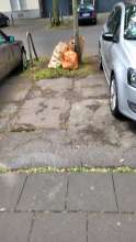 Bild zu gemeldetem Anliegen vom *2025-05-26 07:10:28