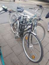 Bild zu gemeldetem Anliegen vom *2025-05-26 09:09:23