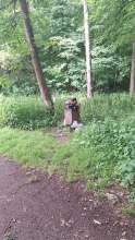 Bild zu gemeldetem Anliegen vom *2025-05-27 09:36:37