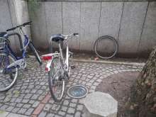 Bild zu gemeldetem Anliegen vom *2025-05-31 19:35:06