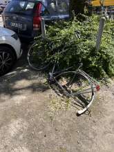Bild zu gemeldetem Anliegen vom *2025-05-19 12:29:08