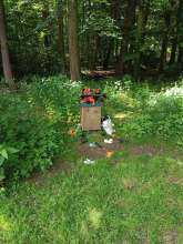 Bild zu gemeldetem Anliegen vom *2025-05-23 12:32:27