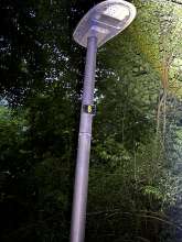Bild zu gemeldetem Anliegen vom *2025-05-29 22:09:14