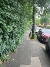 Der Gehweg ist hier durch die Baumstümpfe z.T. schmaler. Zusätzlich wuchert die Hecke stark über den Gehweg, sodass es an besagter Stelle sehr eng wird.
