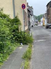 Bild zu gemeldetem Anliegen vom *2025-05-18 21:35:48