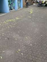 Bild zu gemeldetem Anliegen vom *2025-05-23 06:35:06