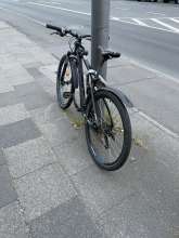 Bild zu gemeldetem Anliegen vom *2025-05-20 19:11:11