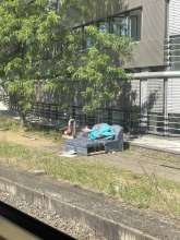 Bild zu gemeldetem Anliegen vom *2025-05-19 15:30:52