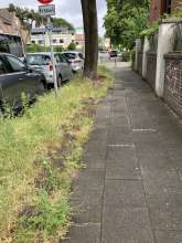 Bild zu gemeldetem Anliegen vom *2025-05-29 13:07:59