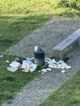 Bild zu gemeldetem Anliegen vom *2025-05-02 08:41:27