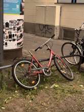 Bild zu gemeldetem Anliegen vom *2025-05-24 09:54:44