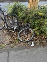 Bild zu gemeldetem Anliegen vom *2025-05-23 18:28:42