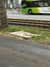 Bild zu gemeldetem Anliegen vom *2025-05-24 10:00:12