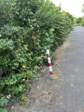 Bild zu gemeldetem Anliegen vom *2025-05-20 18:32:43