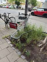Bild zu gemeldetem Anliegen vom *2025-05-04 09:35:06
