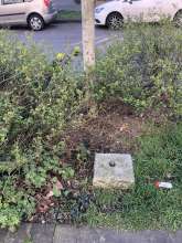 Bild zu gemeldetem Anliegen vom *2025-05-01 15:34:18