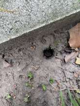 Bild zu gemeldetem Anliegen vom *2025-05-19 12:29:08