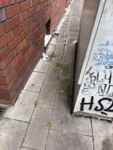 Bild zu gemeldetem Anliegen vom *2025-05-28 15:54:22