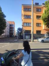 Bild zu gemeldetem Anliegen vom *2025-05-29 15:31:16
