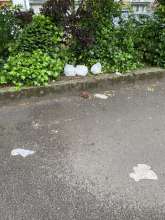 Bild zu gemeldetem Anliegen vom *2025-05-27 09:36:37