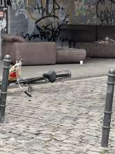 Bild zu gemeldetem Anliegen vom *2025-05-29 12:31:22