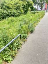 Bild zu gemeldetem Anliegen vom *2025-05-21 06:29:05
