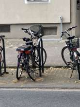 Bild zu gemeldetem Anliegen vom *2025-05-26 14:16:25