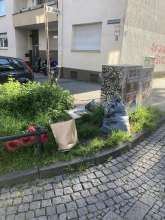 Bild zu gemeldetem Anliegen vom *2025-05-05 10:55:44