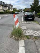 Bild zu gemeldetem Anliegen vom *2025-05-27 15:27:34