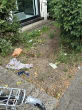 Bild zu gemeldetem Anliegen vom *2025-05-27 07:07:08
