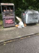 Bild zu gemeldetem Anliegen vom *2025-05-28 13:36:58