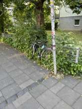 Bild zu gemeldetem Anliegen vom *2025-05-27 10:19:29