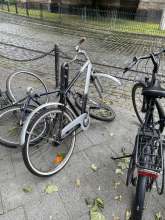 Bild zu gemeldetem Anliegen vom *2025-05-28 09:10:20