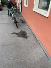 Bild zu gemeldetem Anliegen vom *2025-05-28 18:25:07