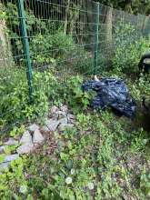 Bild zu gemeldetem Anliegen vom *2025-05-13 23:39:59