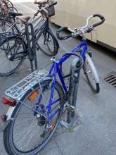 Bild zu gemeldetem Anliegen vom *2025-05-15 18:36:23