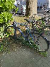 Bild zu gemeldetem Anliegen vom *2025-05-15 18:40:41